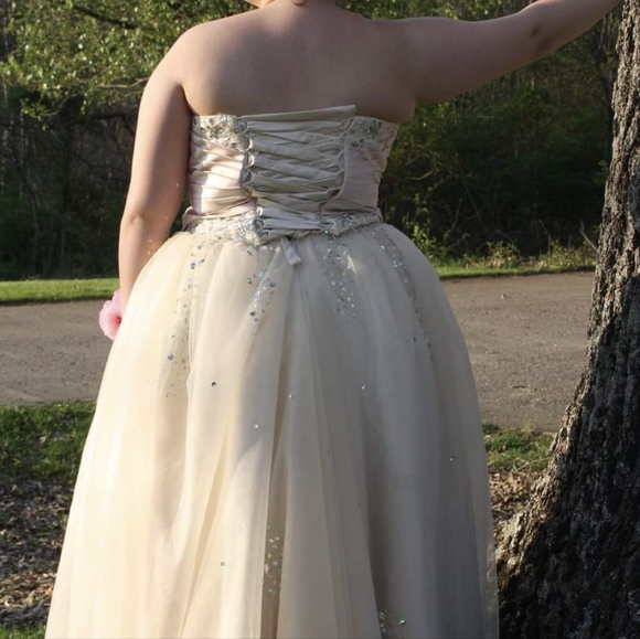 Prom Dress - Picture 7 of 7